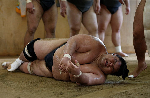 Những bí mật của võ sĩ sumo chuyên nghiệp ở Nhật Bản
