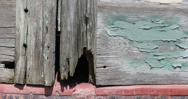 wabi-sabi-1-large_1510814221.jpg
