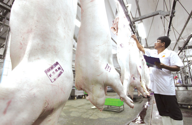 Thị trường thịt gia súc, gia cầm: Tham vọng với 