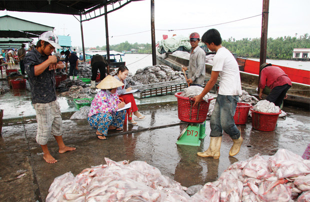 Xuất khẩu hải sản: Ràng buộc ngày càng chặt