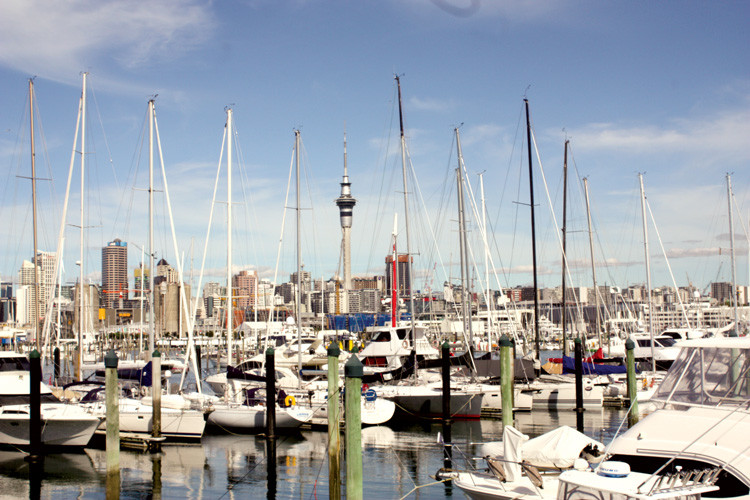 Auckland nổi tiếng là thành phố của nhiều du thuyền - Ảnh: P. Ng. Dũng
