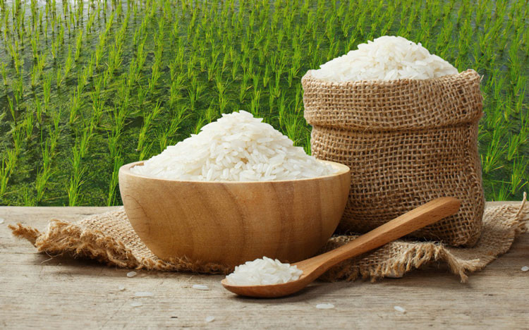 Giá xuất khẩu gạo Việt Nam vượt Thái Lan
