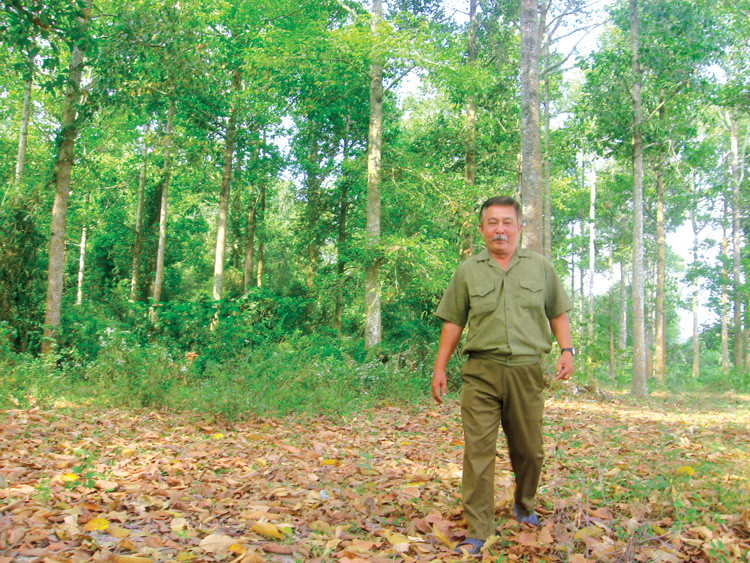 Kiểm lâm tuần tra bảo vệ rừng
