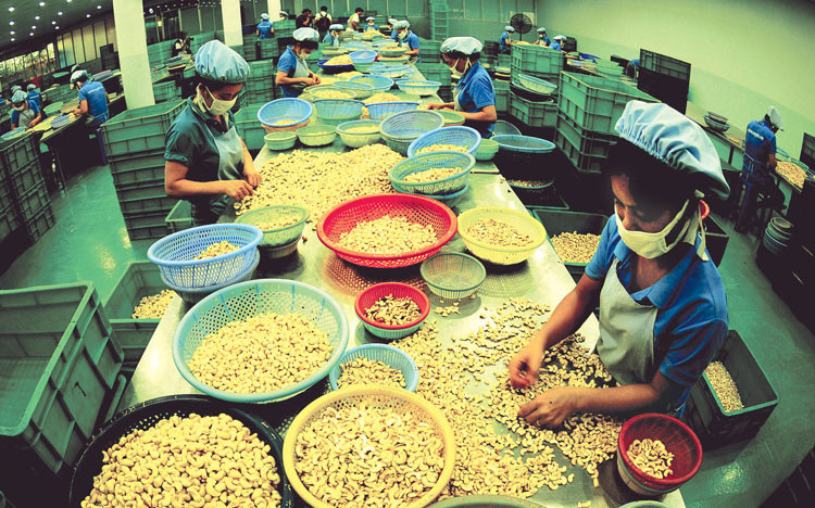 Việt Nam - Argentina: Làm sao cân bằng cán cân thương mại?