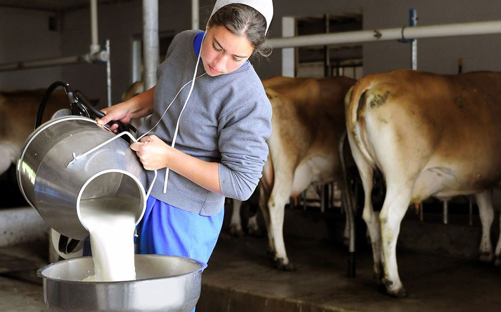 Tại sao tình trạng khát sữa của Trung Quốc lại là tin xấu đối với Trái Đất?