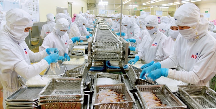 Các DN xuất khẩu tôm dù bị áp thuế nhưng mức thuế áp không cao như trong vụ kiện cá da trơn - Cuộc thi ảnh Tự hào Hàng Việt, do báo Doanh Nhân Sài Gòn tổ chức