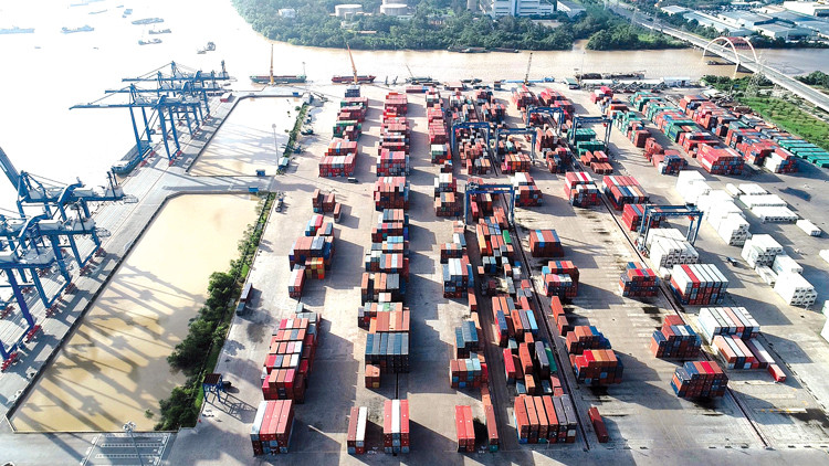 Bức tranh ngành cảng biển sẽ còn khởi sắc nhờ xuất nhập khẩu tăng - Ảnh: H. Dũng