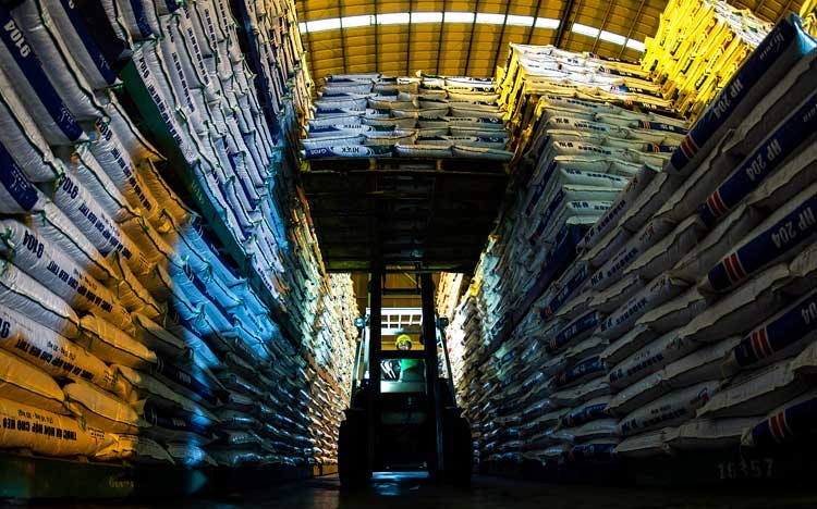 Việt Nam có thoát khỏi xu hướng sa sút của kinh tế toàn cầu?