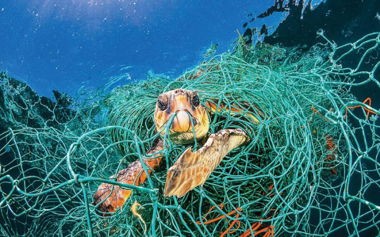 Rác thải ở đại dương sẽ biến trái đất thành “hành tinh plastic”?