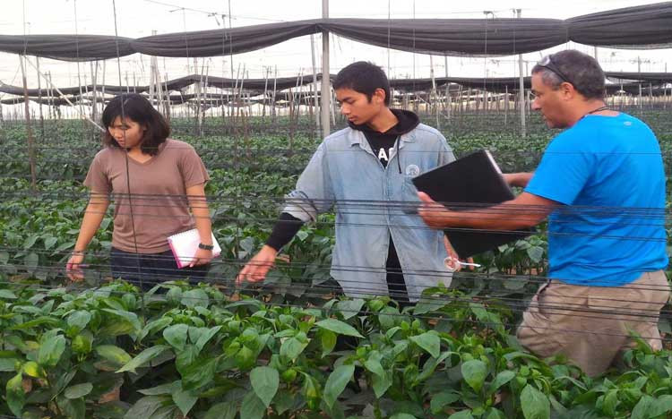 Nông nghiệp công nghệ cao: Học từ Israel