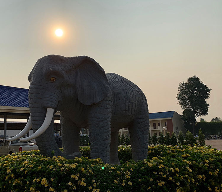 Đây là chú voi con bằng xi măng tại khách sạn Savantakhet