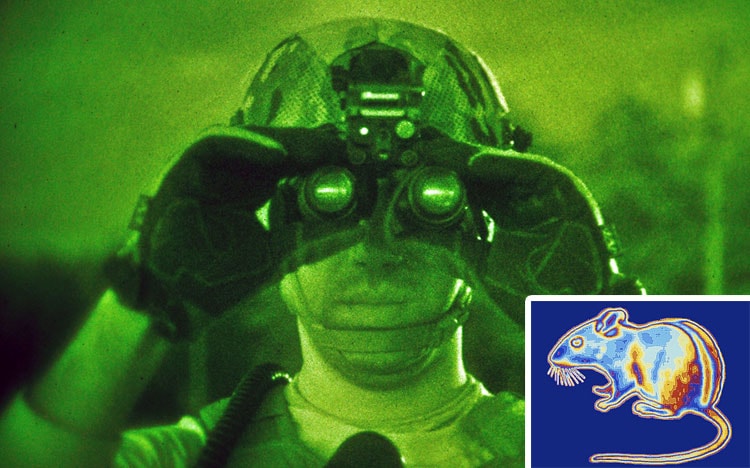 Thử nghiệm thành công siêu chuột nhìn xuyên màn đêm