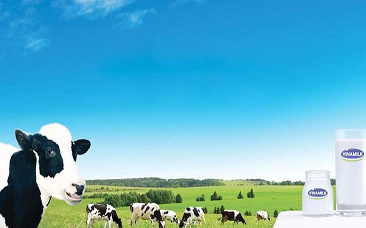 Hoạt động doanh nghiệp tuần qua (10 - 16/3/2019)