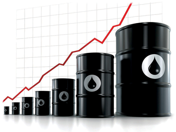 Giá dầu mỏ lại tăng