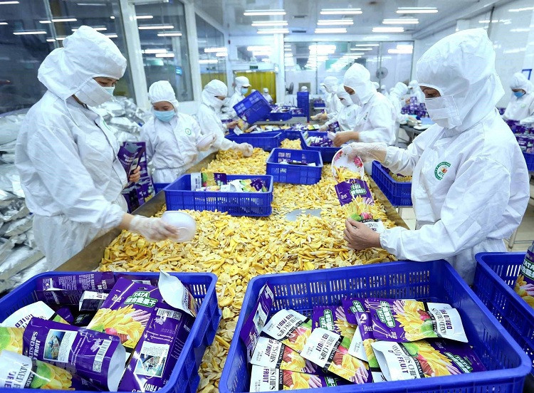 Việt Nam có nhiều mặt hàng lợi thế xuất khẩu sang Romania