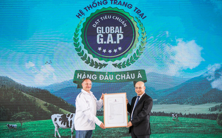 Bò sữa Global G.A.P giúp Vinamilk cung cấp 5,5 triệu hộp sữa tươi mỗi ngày