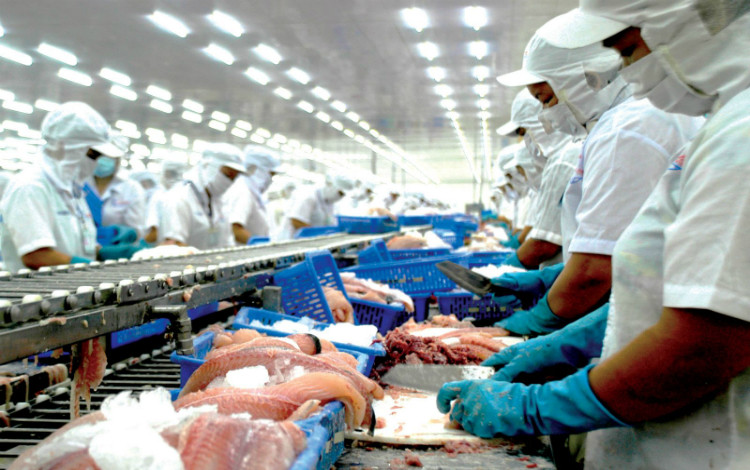 Hoa Kỳ tăng thuế đối với cá tra Việt Nam