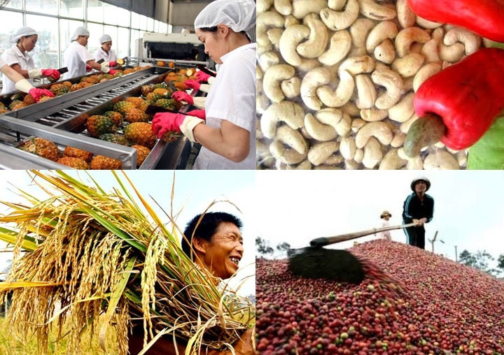 Vi phạm an toàn vệ sinh thực phẩm nhiều lô hàng nông sản Việt Nam bị trả về