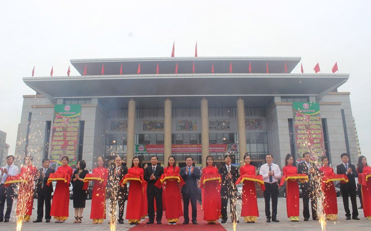 Central Group Việt Nam sẽ tiêu thụ khoảng 350 tấn vải thiều Lục Ngạn