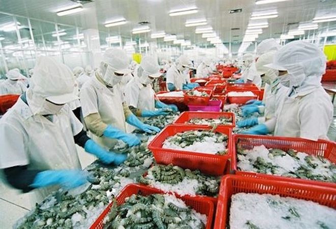 Thủy sản Minh Phú gia tăng xuất khẩu sang Mỹ