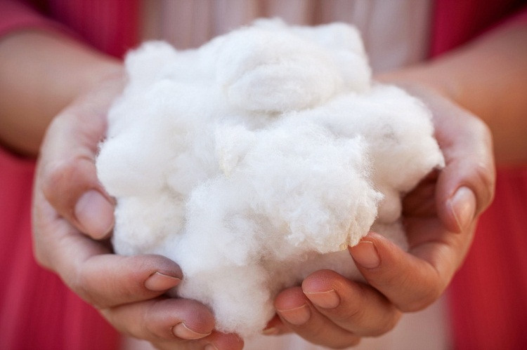 80% người dùng sẵn sàng trả tiền cho sản phẩm có mác Cotton USA