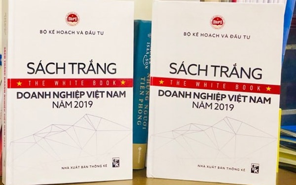 Công bố Sách trắng doanh nghiệp Việt Nam 2019: Bức tranh toàn cảnh doanh nghiệp