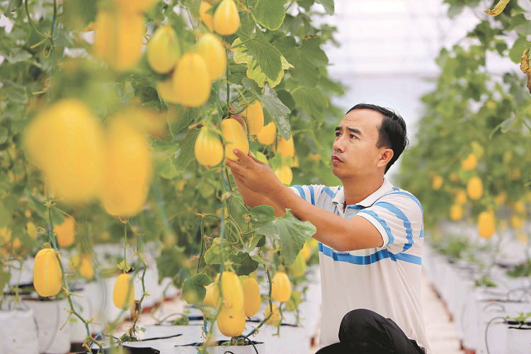 cong-nghe-cao-02-6092-1562902306.png
