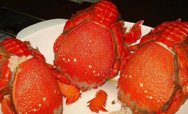 Nhập cua huỳnh đế từ Úc