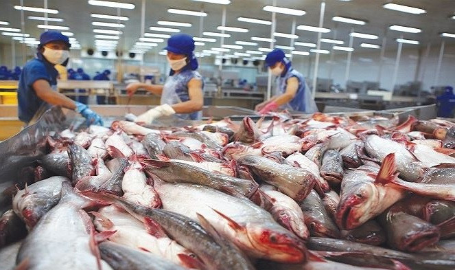 Malaysia - Thị trường xuất khẩu cá tra lớn thứ hai của Việt Nam