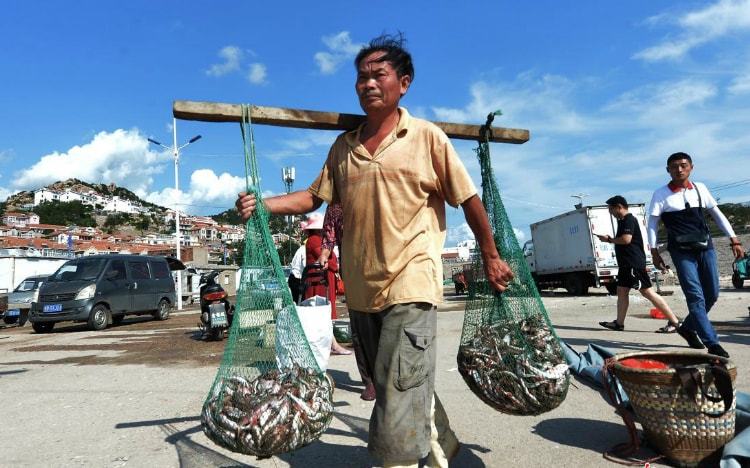 Danh sách 16 mặt hàng được miễn thuế này thể hiện "cử chỉ thiện chí" của Bắc Kinh, trong bối cảnh vòng đàm phán thương mại song phương kế tiếp dự kiến diễn ra vào tháng 10/2019.