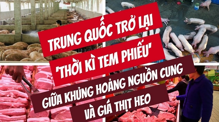 Trung Quốc khủng hoảng thịt heo vì nạn dịch tả heo châu Phi