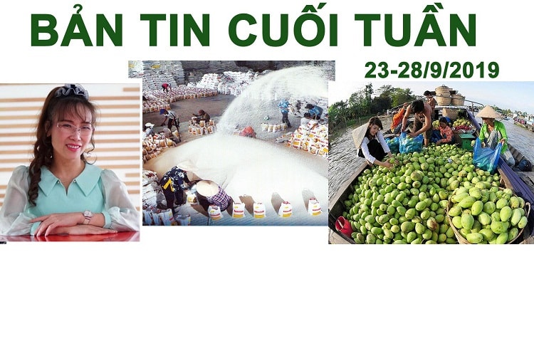 Ai sẽ khuynh đảo thị trường dầu? Người phụ nữ quyền lực nhất châu Á; Trông chờ giá điện mặt trời