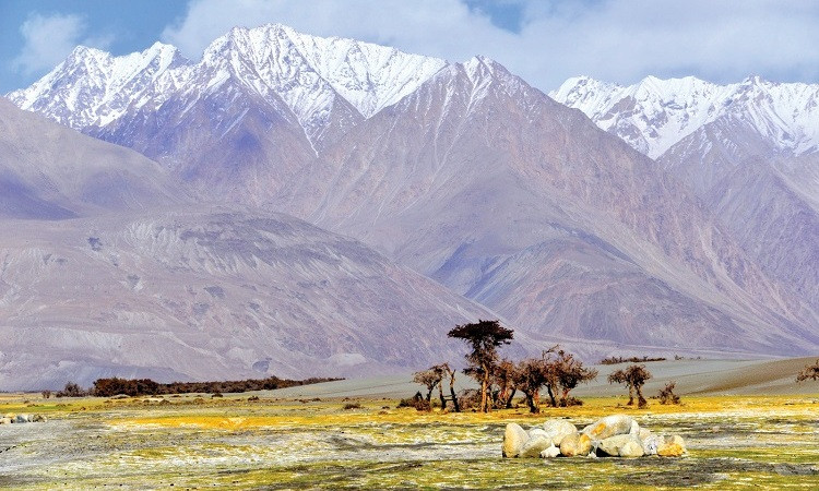 Alex-Ho-Ladakh-India-5-9494-1571446692.j