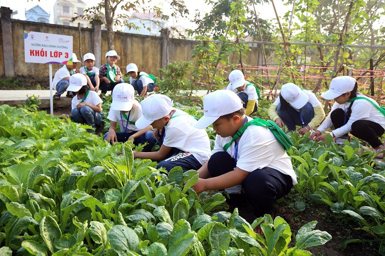 Nestle giúp trẻ em Việt Nam có một cuộc sống khỏe mạnh hơn