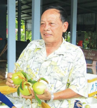 Ông Nguyễn Thái Mùi với những trái vú sữa nghịch mùa mà bản thân đã dày công nghiên cứu.