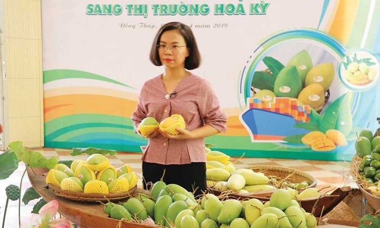 Đến lúc “khai phá” thị trường châu Mỹ