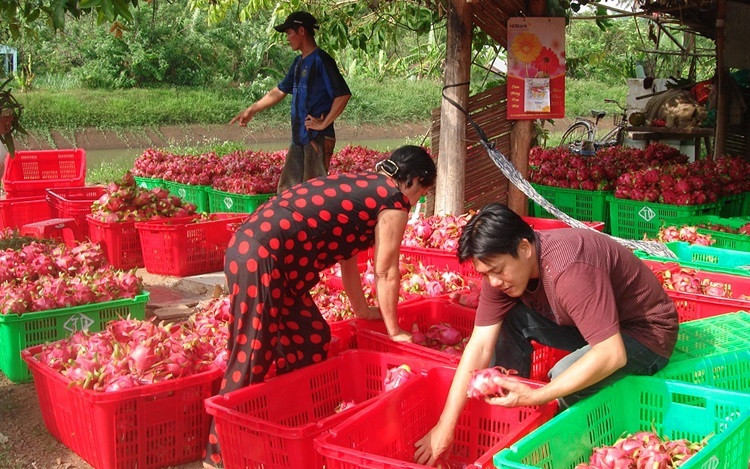 Trung Quốc siết nhập khẩu hàng nông sản Việt Nam