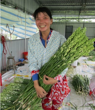 Thời điểm cận Tết này, giá bán huệ trắng tại ruộng là 5.000đ/nhánh vớ loại 1; loại 2 là 4.000đ/nhánh; loại 3 là 3000đ/nhánh.