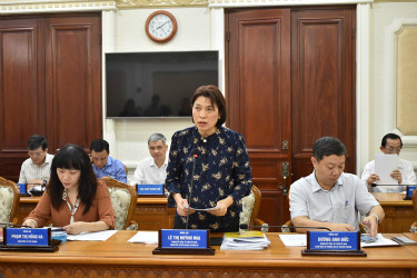 Giám đốc Sở Kế hoạch và Đầu tư TP Lê Thị Huỳnh Mai báo cáo tại buổi họp.