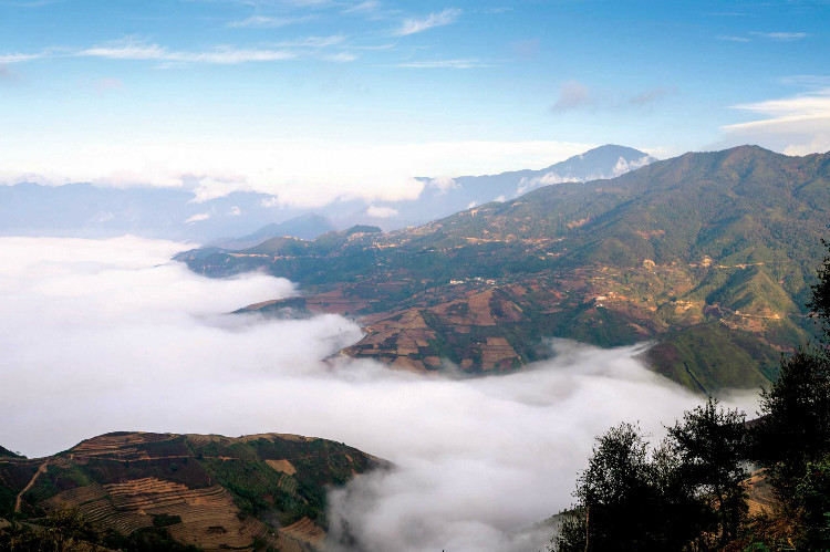 Biển mây bao quanh bản làng, núi rừng Tà Xùa