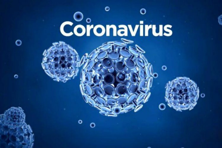 Virus corona – Những điều cần biết