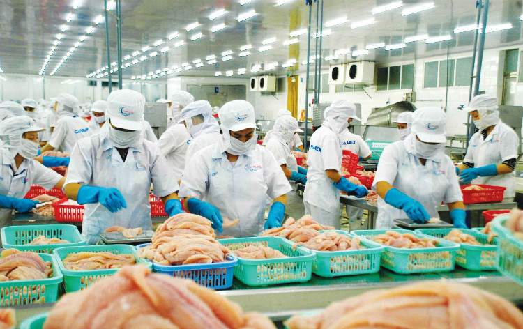Trung Quốc qua đỉnh dịch: Mở lại thị trường cho cá tra Việt Nam?