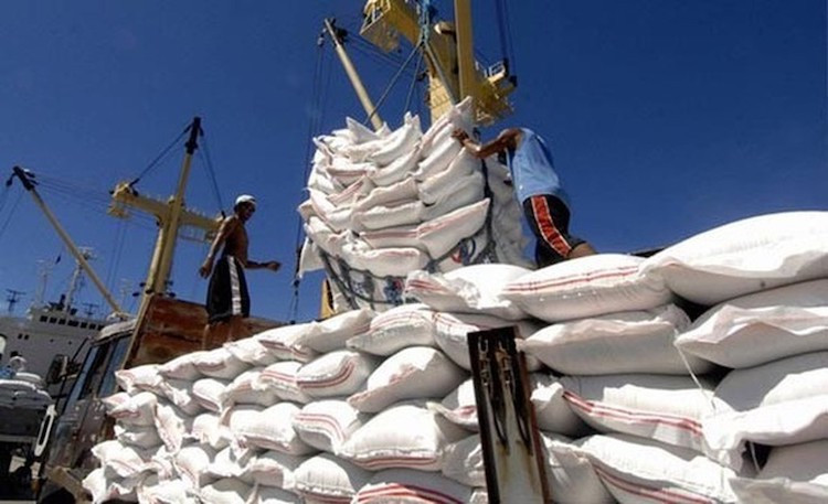 Từ 0 giờ ngày 28/4: Tiếp tục đăng ký xuất khẩu gạo từ các tờ khai bị hủy