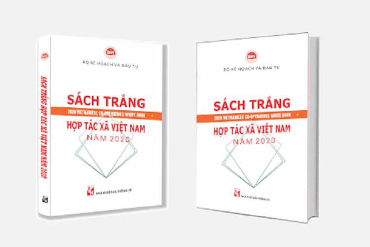 Công bố Sách trắng Doanh nghiệp Việt Nam 2020