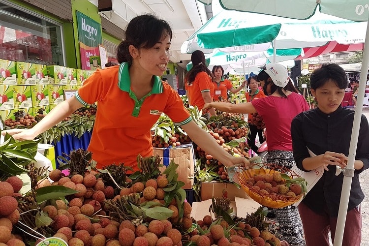 Giao thương trực tuyến nông sản với Trung Quốc, Singapore