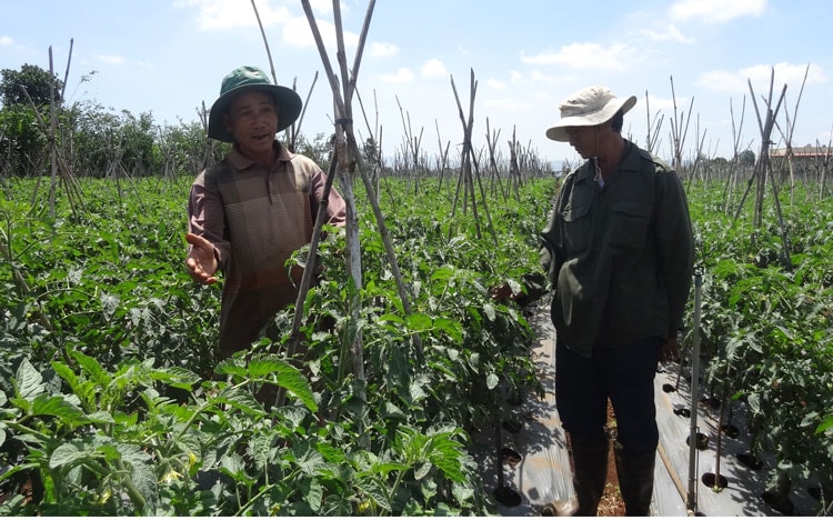 TP.HCM: Tháo gỡ khó khăn cho kinh tế tư nhân, hợp tác xã