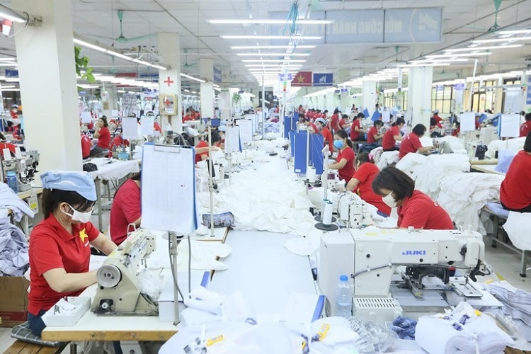 Thương mại Việt - Ấn có khả năng tăng 15-20 tỷ USD