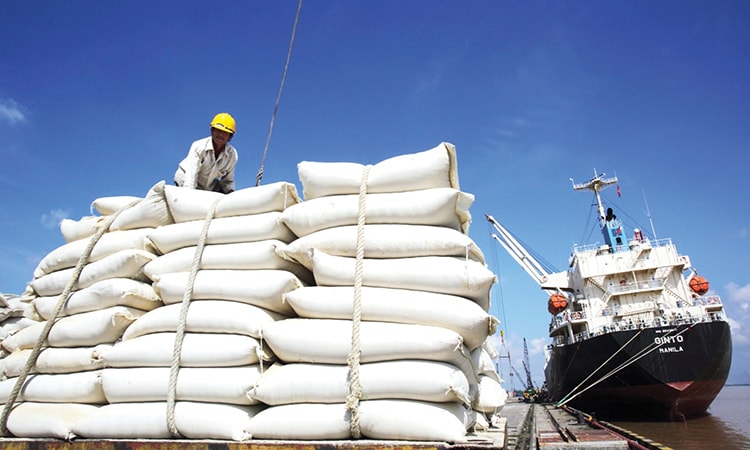 Việt Nam đã vượt Thái Lan về lượng gạo xuất khẩu trong 8 tháng năm 2020