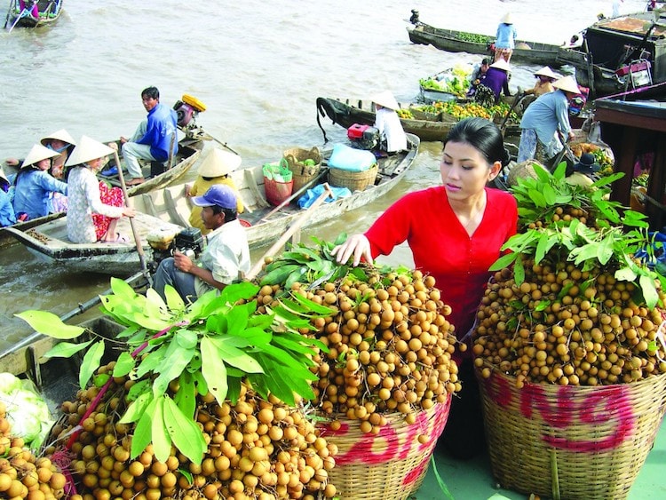 Việt Nam là nguồn cung nông sản, thực phẩm lý tưởng cho thế giới