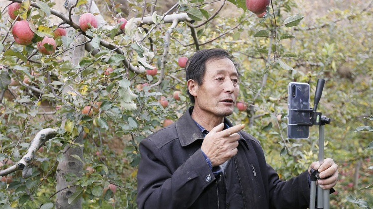 Gansu-apple-farmer-03312020-12-8215-8529